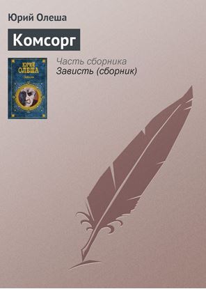 Обложка книги "Комсорг"
