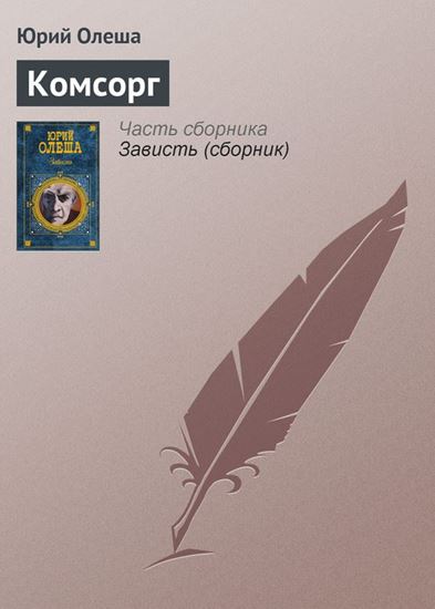 Обложка книги "Комсорг"