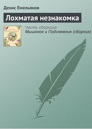 Обложка книги "Лохматая незнакомка"