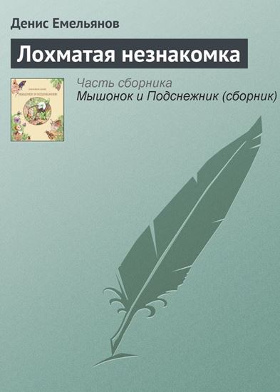 Обложка книги "Лохматая незнакомка"