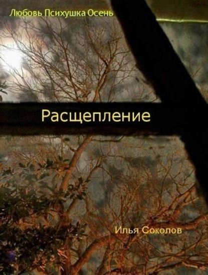 Обложка книги "Расщепление"