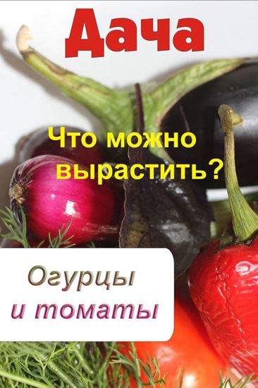 Обложка книги "Что можно вырастить? Огурцы и томаты"