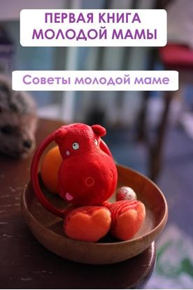 Обложка книги "Советы молодой маме"
