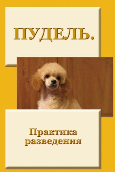 Обложка книги "Пудель. Практика разведения"