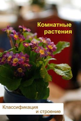 Обложка книги "Комнатные растения. Классификация и строение"