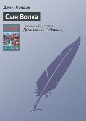 Обложка книги "Сын Волка"