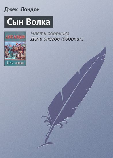 Обложка книги "Сын Волка"
