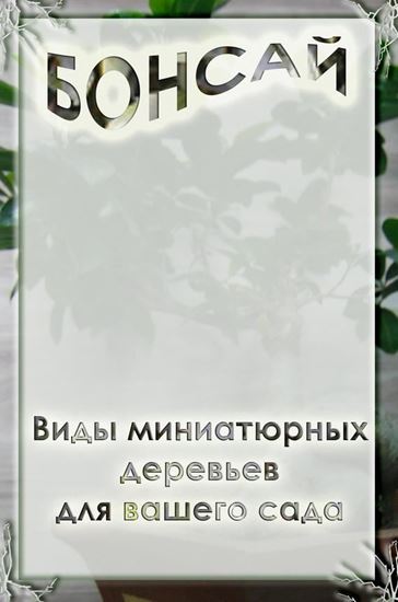 Обложка книги "Виды миниатюрных деревьев для вашего сада"