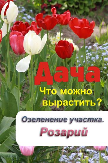 Обложка книги "Что можно вырастить? Озеленение участка. Розарий"