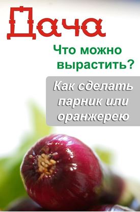 Обложка книги "Что можно вырастить? Как сделать парник или оранжерею"