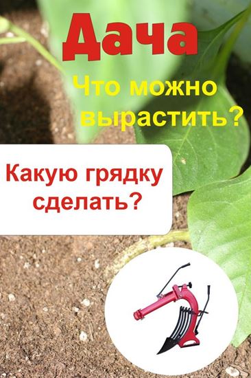 Обложка книги "Что можно вырастить? Какую грядку сделать?"