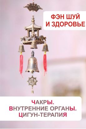 Обложка книги "Фэн-шуй и здоровье. Чакры. Внутренние органы. Цигун-терапия"