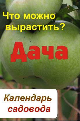 Обложка книги "Календарь садовода. Что можно вырастить?"