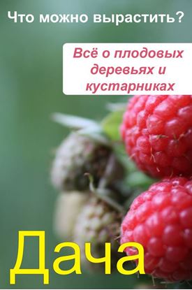 Обложка книги "Что можно вырастить? Всё о плодовых деревьях и кустарниках"