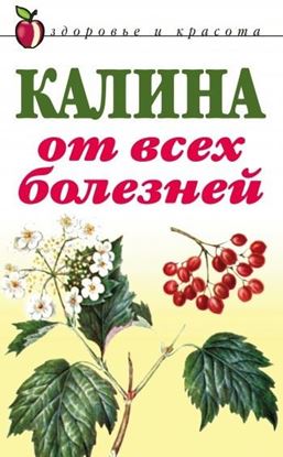 Обложка книги "Калина от всех болезней"