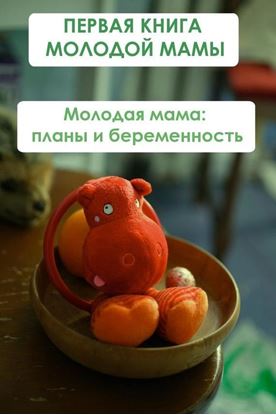 Обложка книги "Молодая мама: планы и беременность"