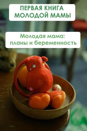 Обложка книги "Молодая мама: планы и беременность"