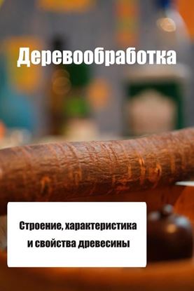 Обложка книги "Строение, характеристика и свойства древесины"