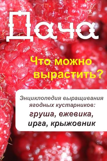Обложка книги "Что можно вырастить? Энциклопедия выращивания ягодных кустарников: груша, ежевика, ирга, крыжовник"