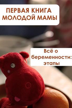 Обложка книги "Всё о беременности: этапы"