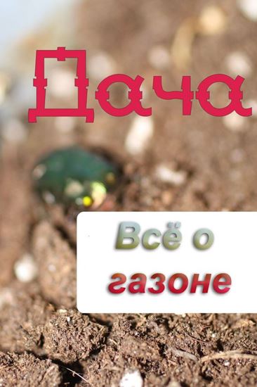 Обложка книги "Всё о газоне"