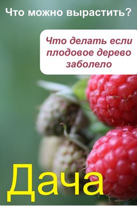 Обложка книги "Что можно вырастить? Что делать, если плодовое дерево заболело"