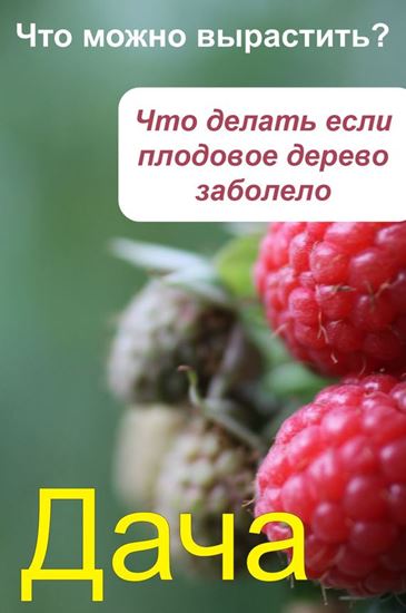Обложка книги "Что можно вырастить? Что делать, если плодовое дерево заболело"