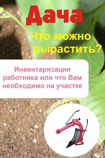 Обложка книги "Что можно вырастить? Инвентаризация работника, или Что вам необходимо на участке"
