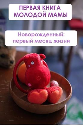 Обложка книги "Новорождённый: первый месяц жизни"