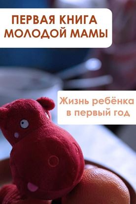 Обложка книги "Жизнь ребёнка в первый год"