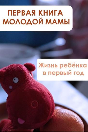 Обложка книги "Жизнь ребёнка в первый год"