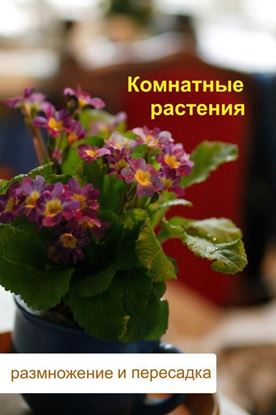 Обложка книги "Комнатные растения. Размножение и пересадка"