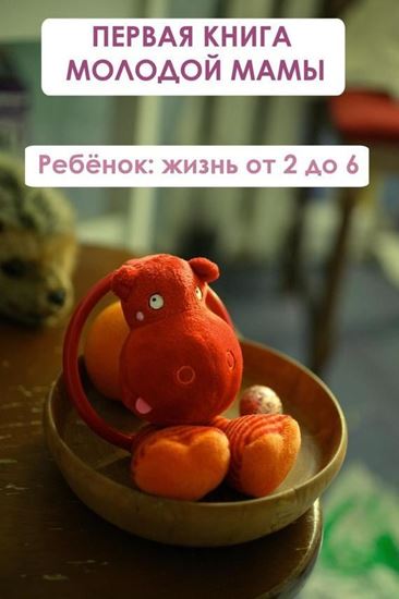 Обложка книги "Ребёнок: жизнь от двух до 6"