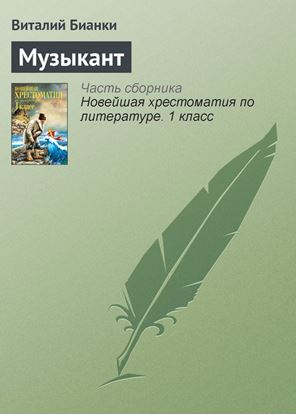 Обложка книги "Музыкант"