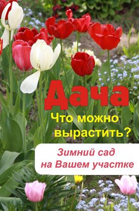 Обложка книги "Что можно вырастить? Зимний сад на вашем участке"