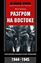 Обложка книги "Разгром на востоке. Поражение фашистской Германии. 1944-1945"