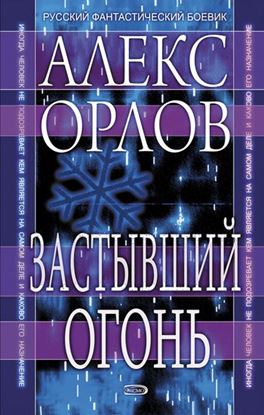 Обложка книги "Застывший огонь"