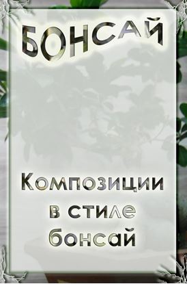 Обложка книги "Композиции в стиле бонсай"