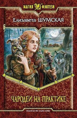 Обложка книги "Чародеи на практике"