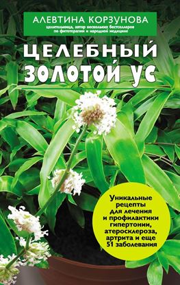 Обложка книги "Целебный золотой ус"