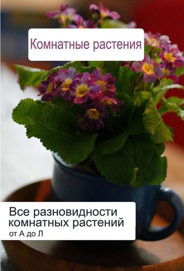 Обложка книги "Все разновидности комнатных растений (от А до Л)"