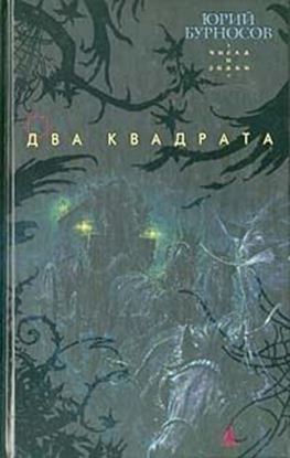 Обложка книги "Два квадрата"
