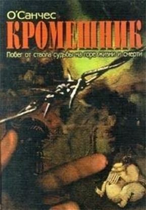 Обложка книги "Кромешник. Книга 1"