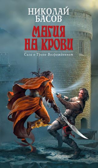 Обложка книги "Воин Провидения"