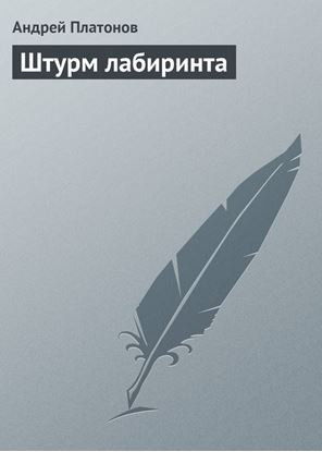 Обложка книги "Штурм лабиринта"