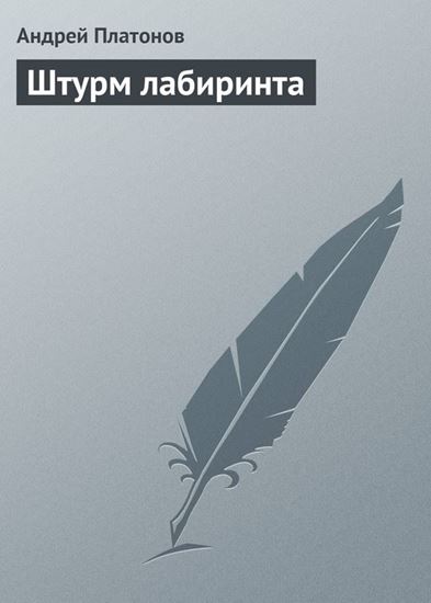 Обложка книги "Штурм лабиринта"