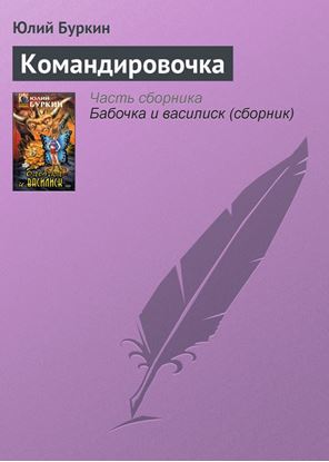 Обложка книги "Командировочка"