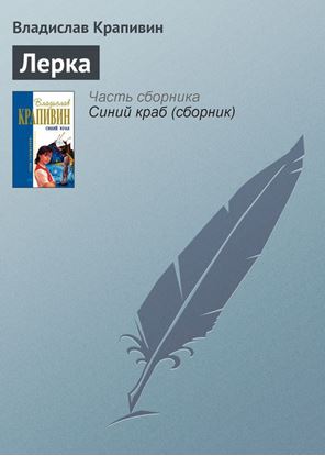 Обложка книги "Лерка"