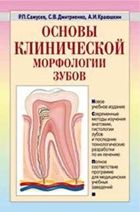 Обложка книги "Основы клинической морфологии зубов: учебное пособие"