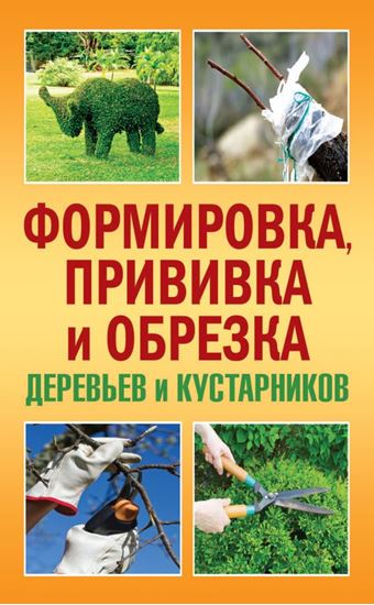 Обложка книги "Формировка, прививка и обрезка деревьев и кустарников"